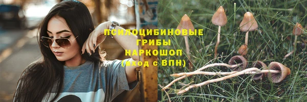 соль ск Осинники