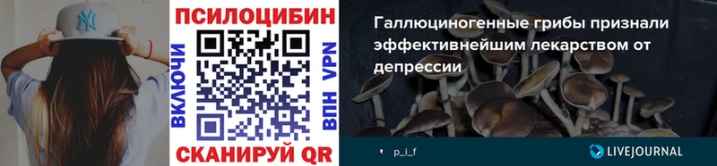 закладка  Мосальск  Галлюциногенные грибы Cubensis 